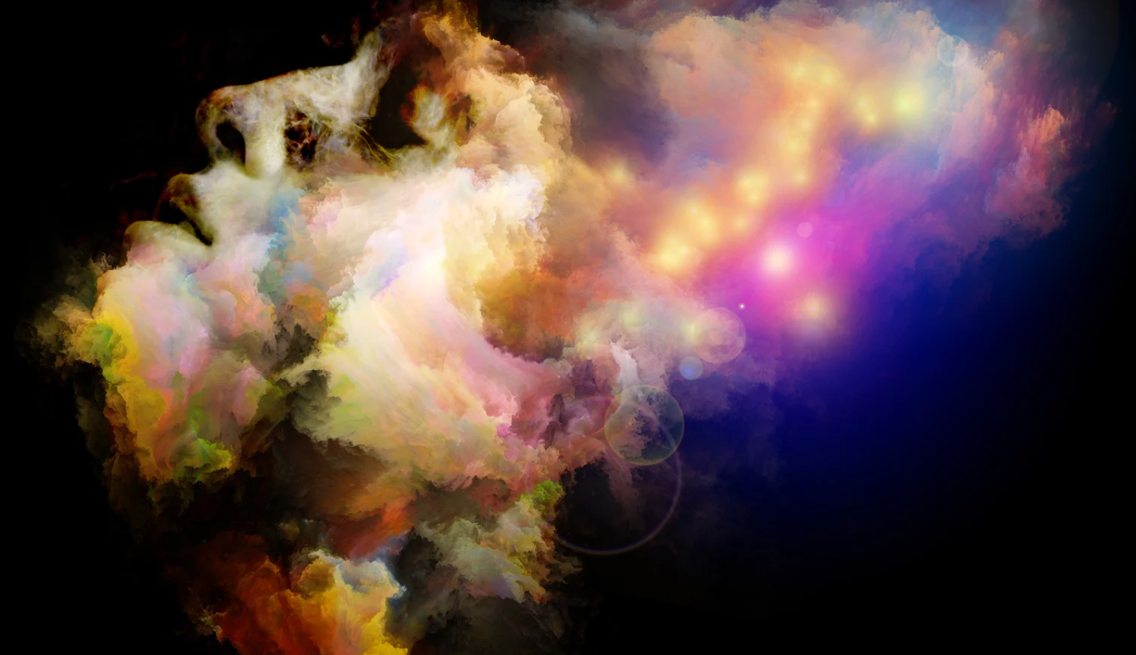 Loosen Your Mind - Come to your Senses