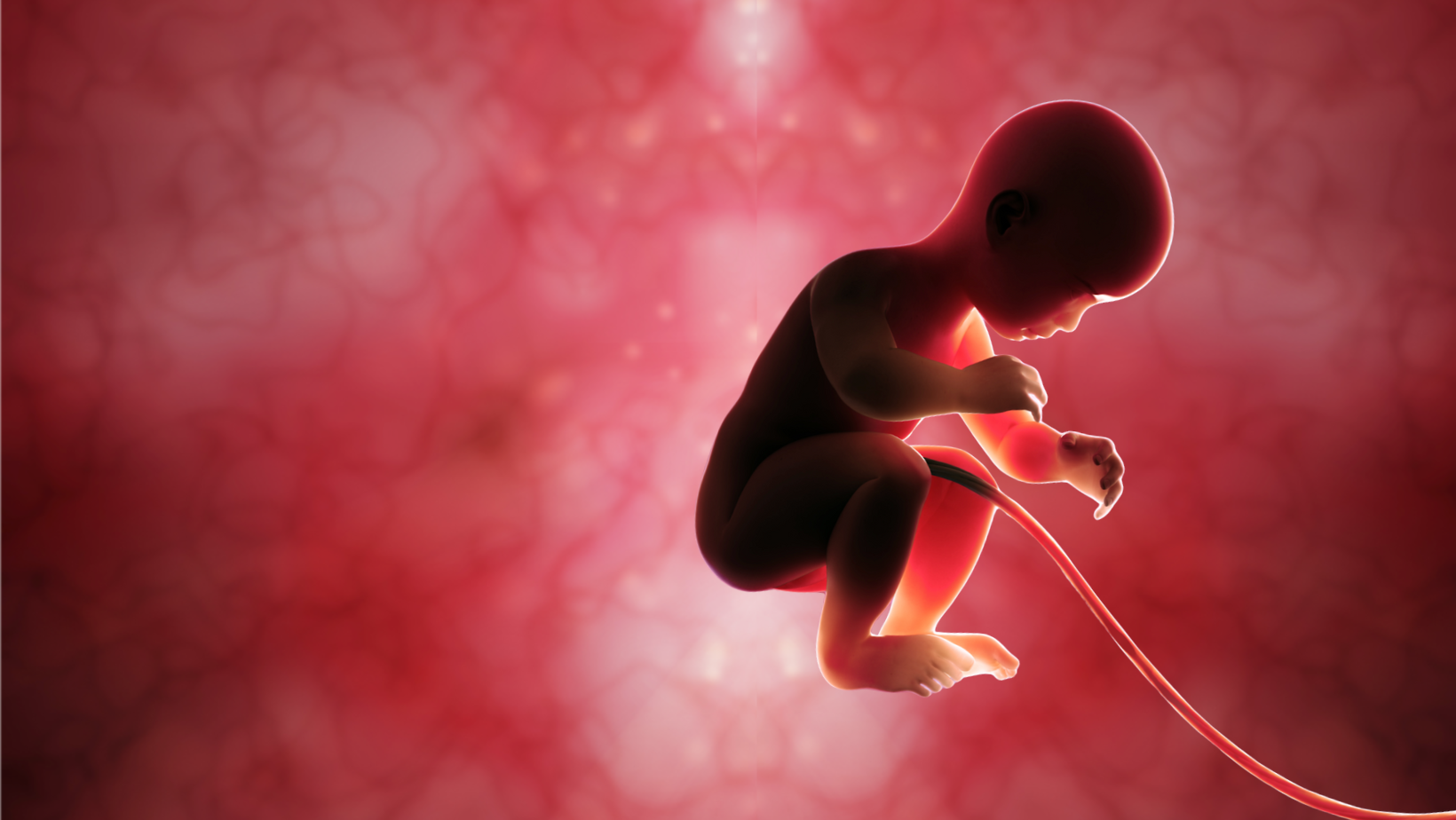 Womb, Karma & Transcendence
