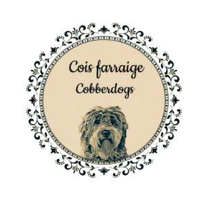 Cois Farraige Cobberdogs Ireland