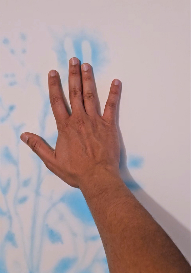 Copie de XXL Dossier_Artistique_Cartier_Laurent_2026 (18).png