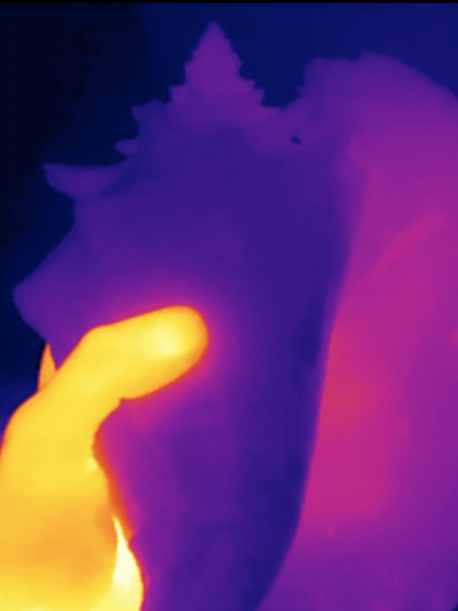 Copie de XXL Dossier_Artistique_Cartier_Laurent_2026 (12).png