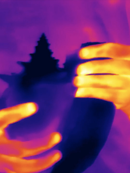 Copie de XXL Dossier_Artistique_Cartier_Laurent_2026 (13).png