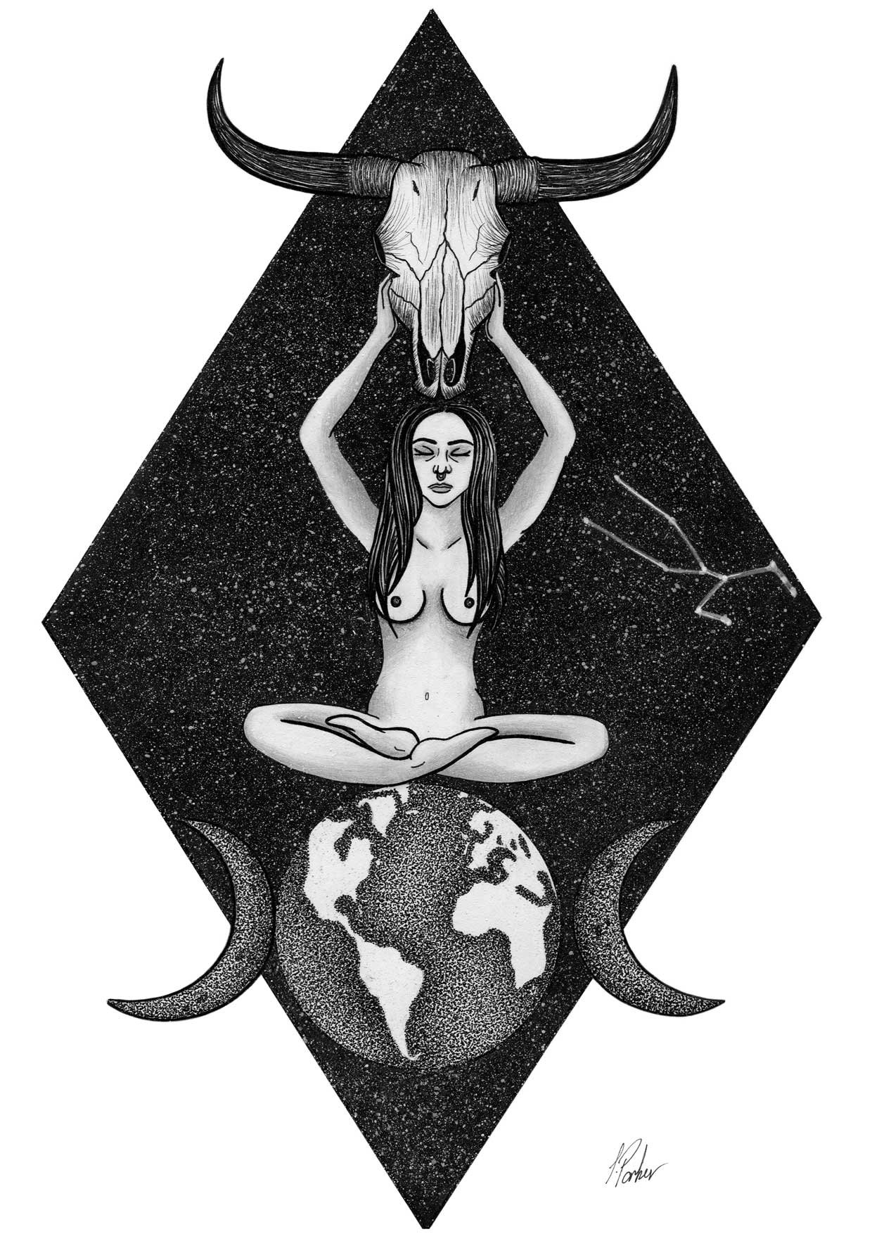 Taurus-India-Parker-Art.jpg