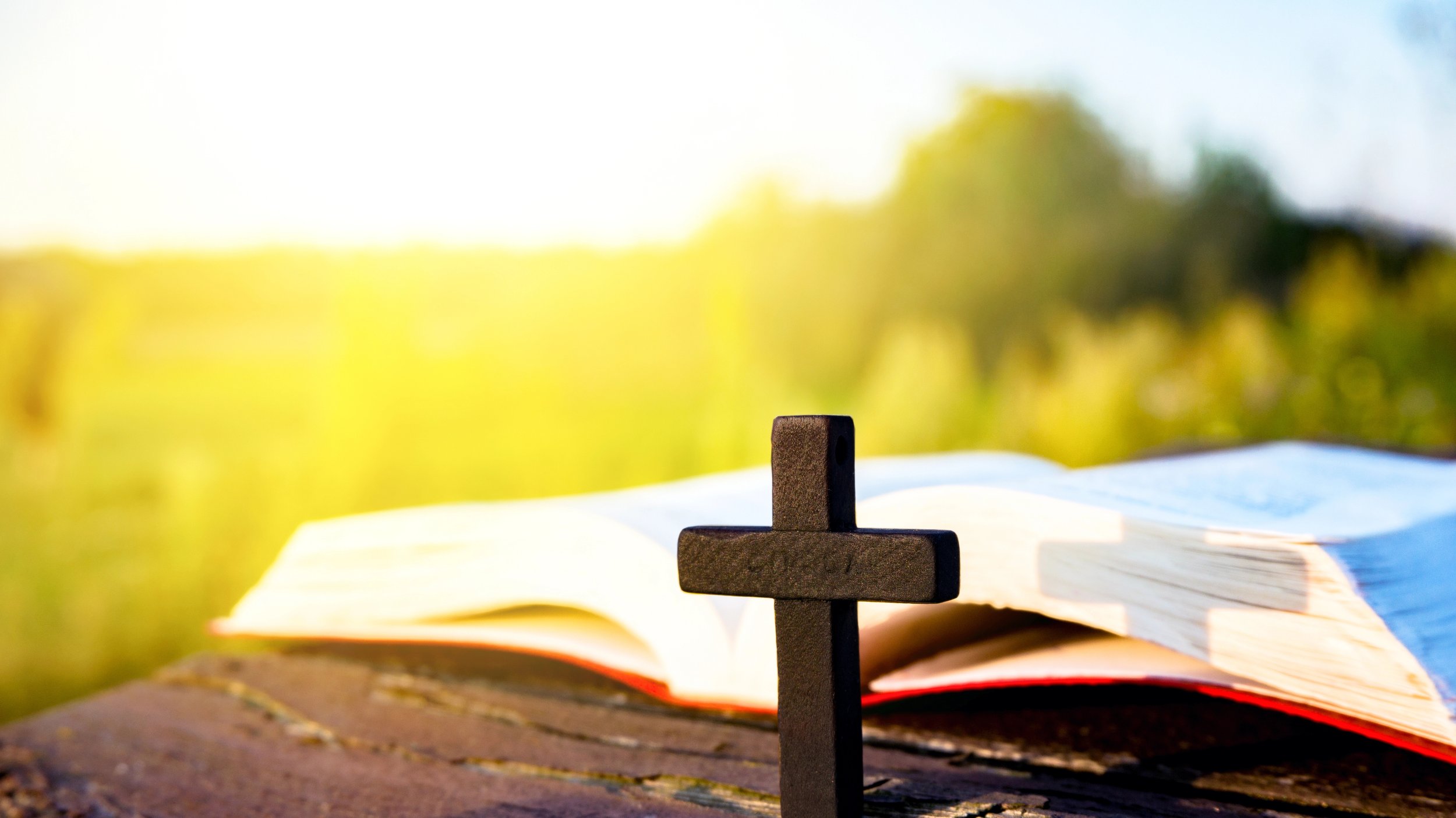 What Remains After Survival? Trauma, Faith, and the Long Road to Healing