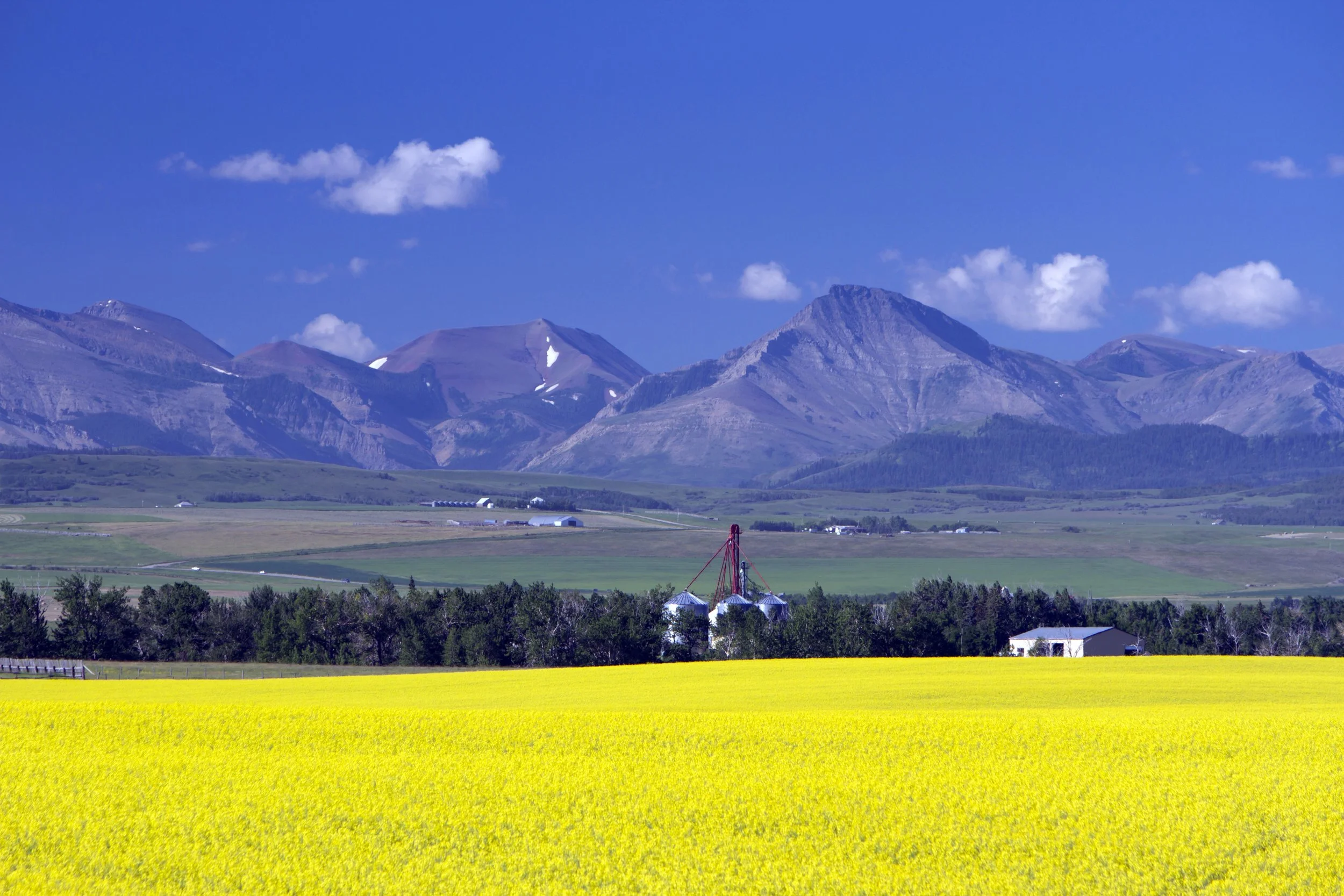 Inside the Story Series # 1 - Why I Chose Rural Alberta: How Place Shapes My Stories