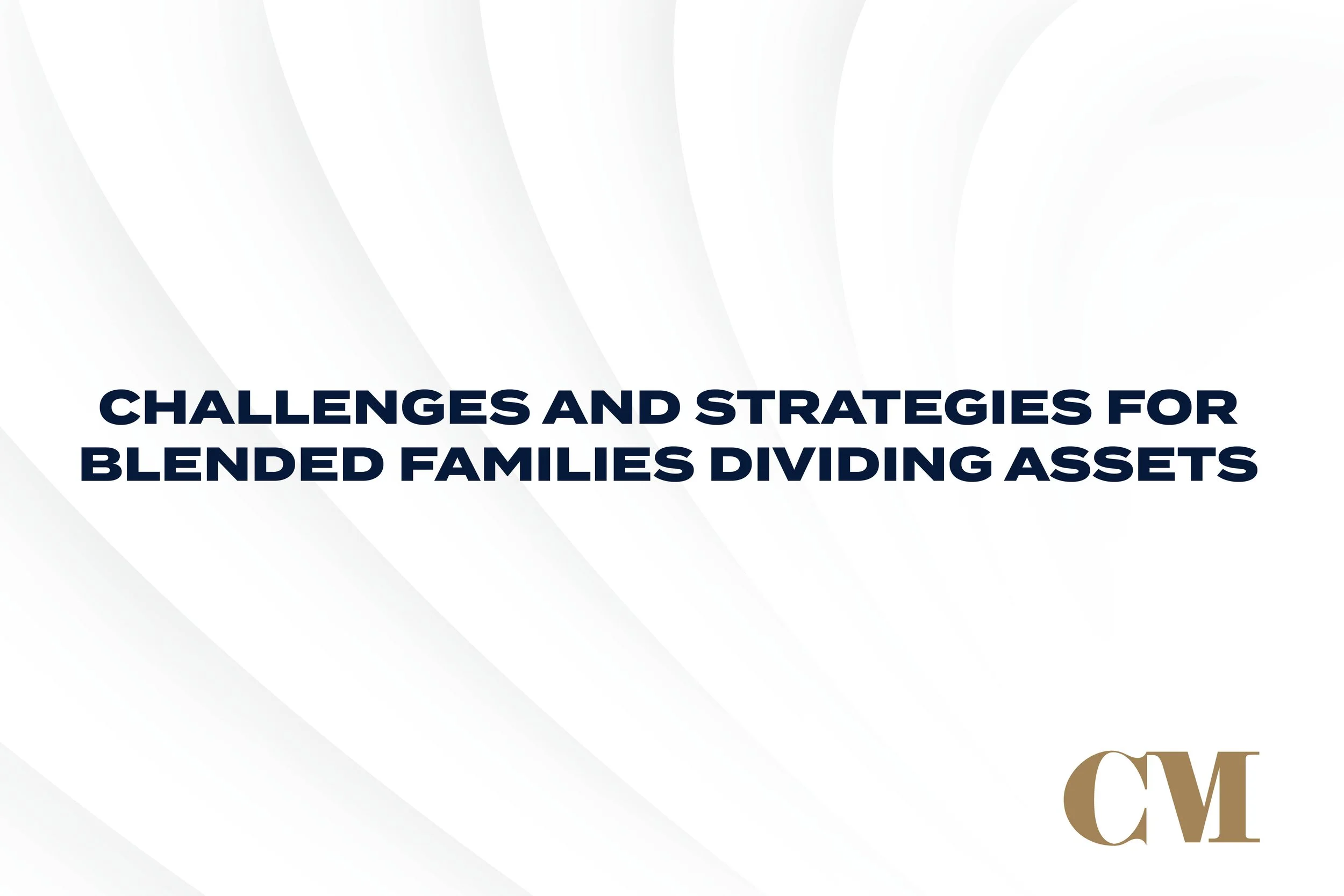 Challenges and Strategies for Blended Families Dividing Assets