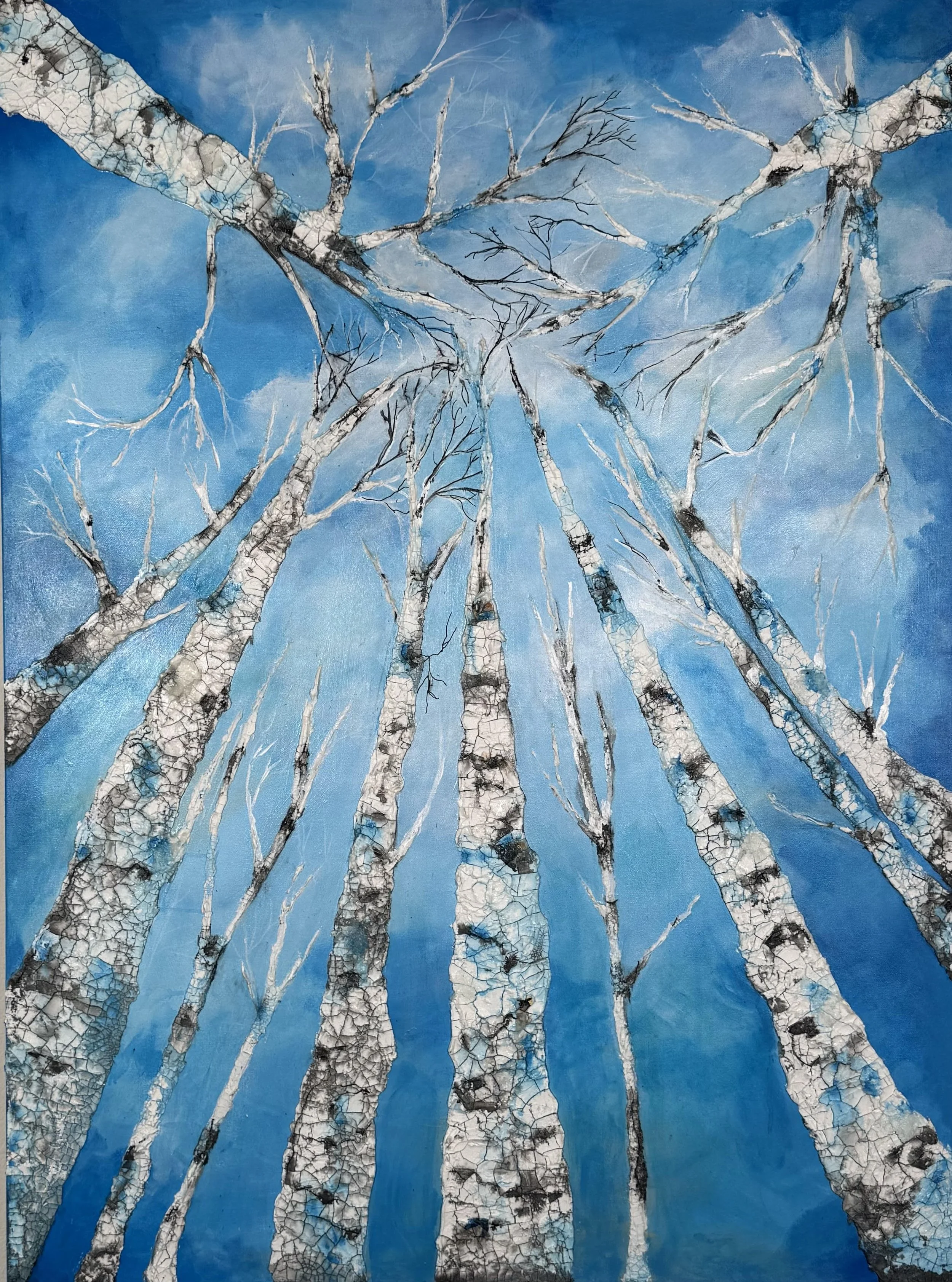 View of  White Timber.jpg