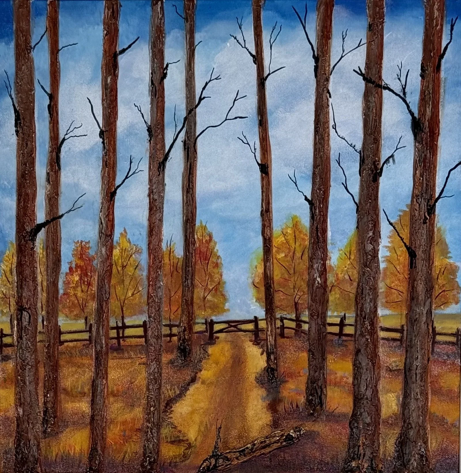 Follow "O" the Path.jpg