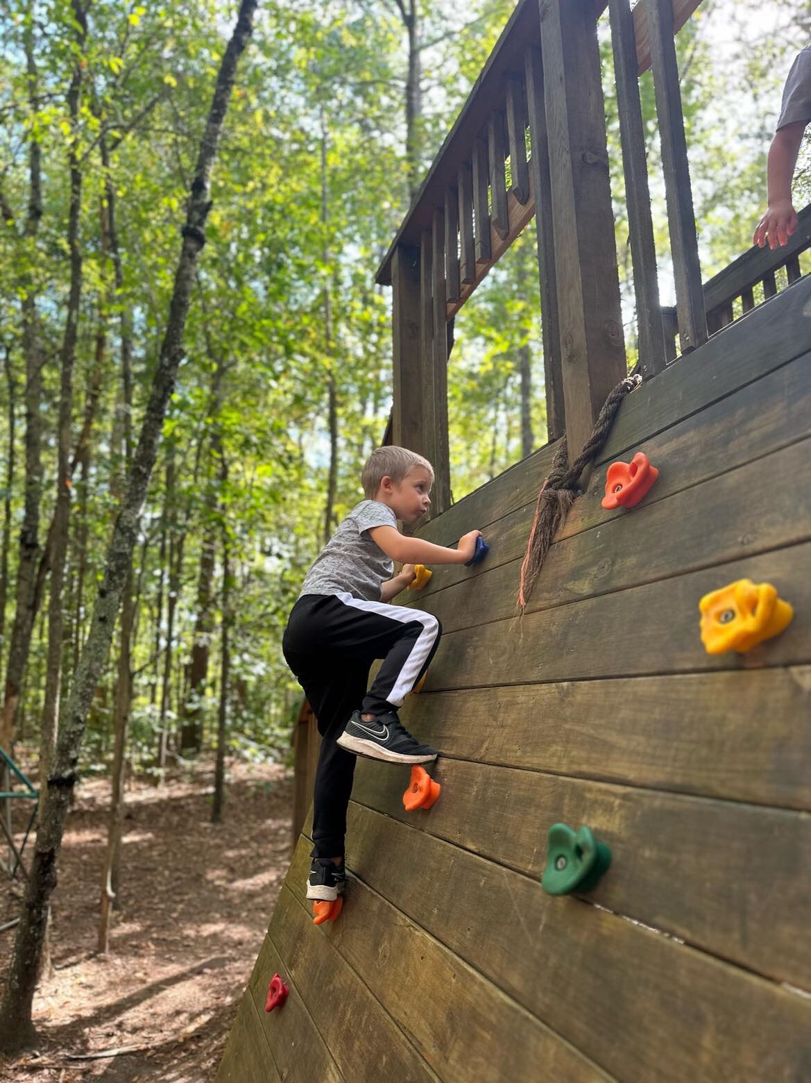 What's your fondest childhood memory of being outdoors? 🌍Share yours below, and help us create those memories for the next generation! 

https://www.woodlanddiscovery.org/capital-campaign

#outdoorschool #woodlanddiscovery