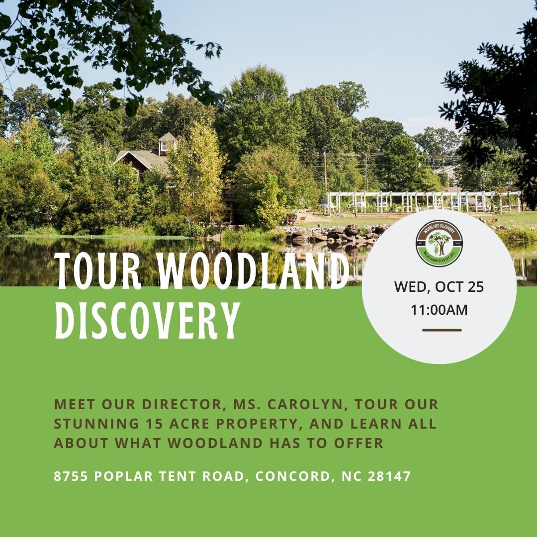 If you're interested in learning more about our forest school program or our homeschool explorer classes, join us this Wednesday, October 25th at 11:00am. 

Our director, Ms. Carolyn, will show you around our beautiful property and show you all that 