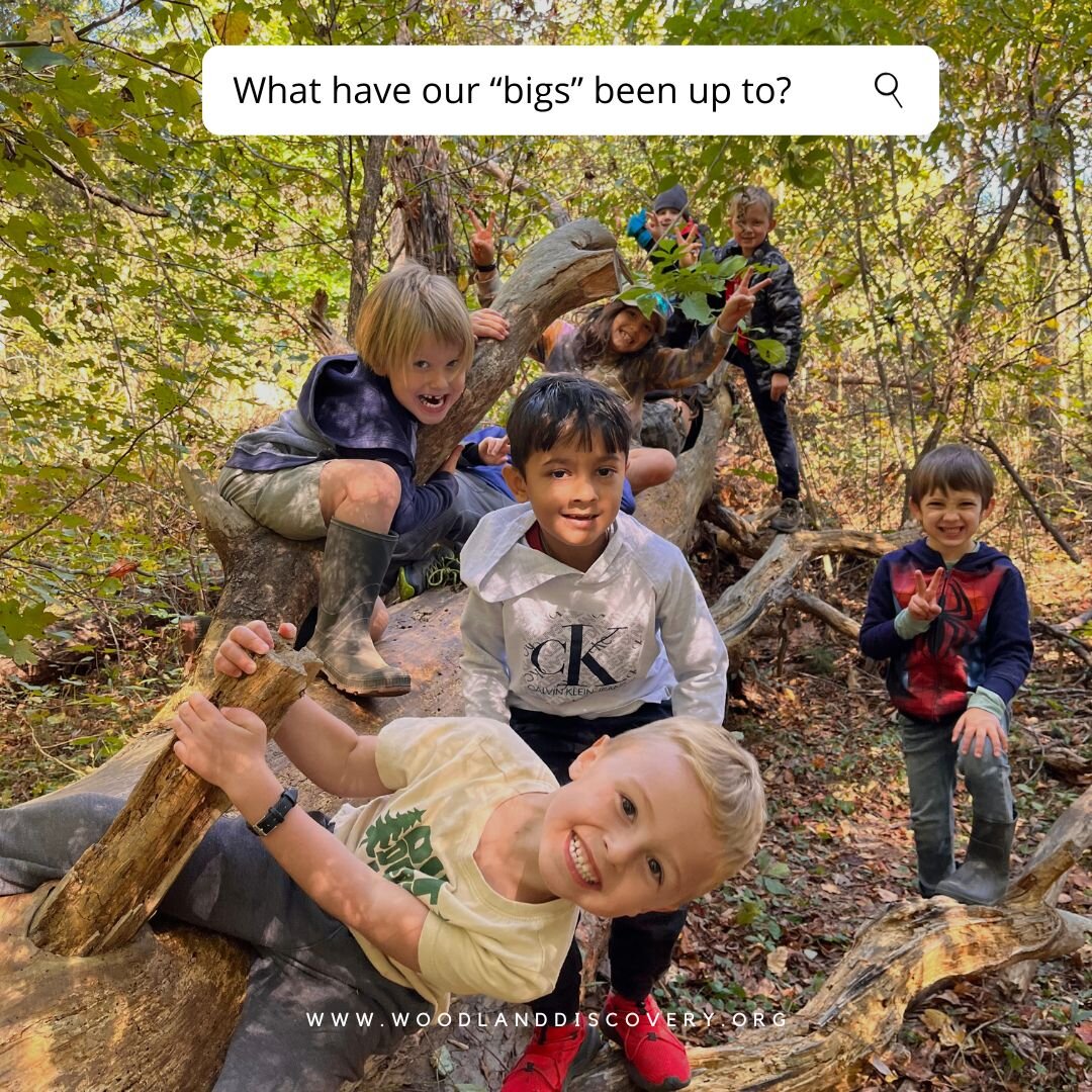 Every day is an adventure at Woodland Discovery 🥾🍁

Ms. Carolyn's &quot;bigs&quot; groups have been learning about all the beautiful things that come along with fall. 

She says, &quot;We&rsquo;ve been exploring the property, learning about leaves,
