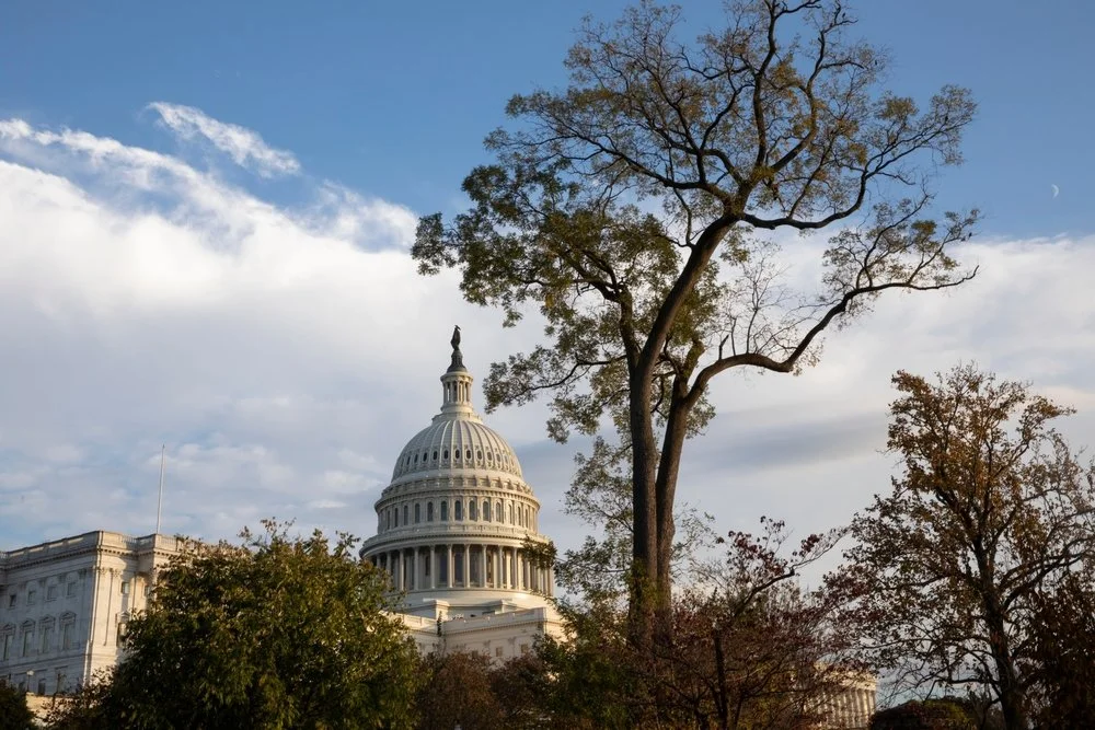 How To Influence Elections This Year