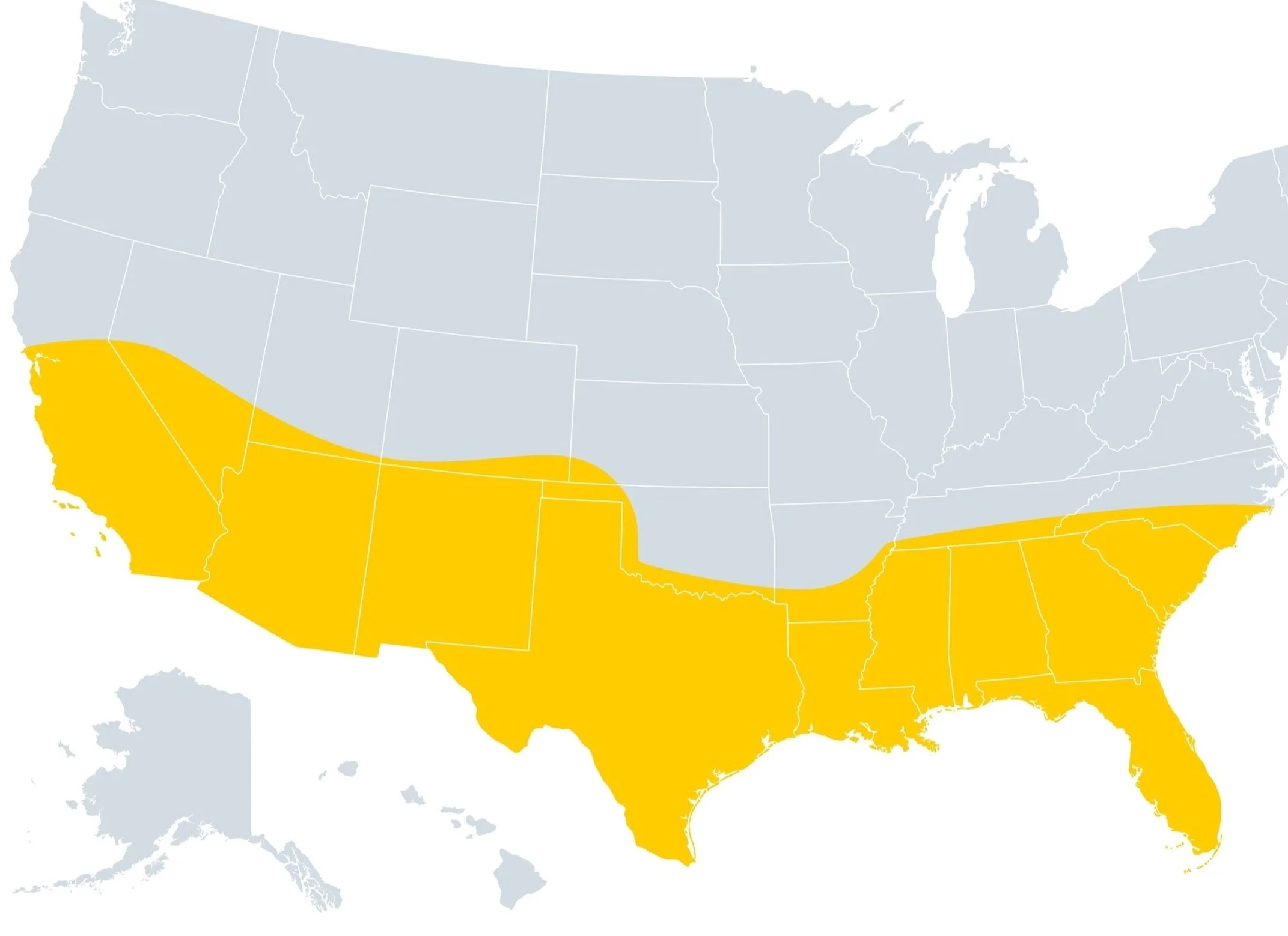 What Grassroots Groups Are Doing to Help Harris Win Over Voters in the Sun Belt 