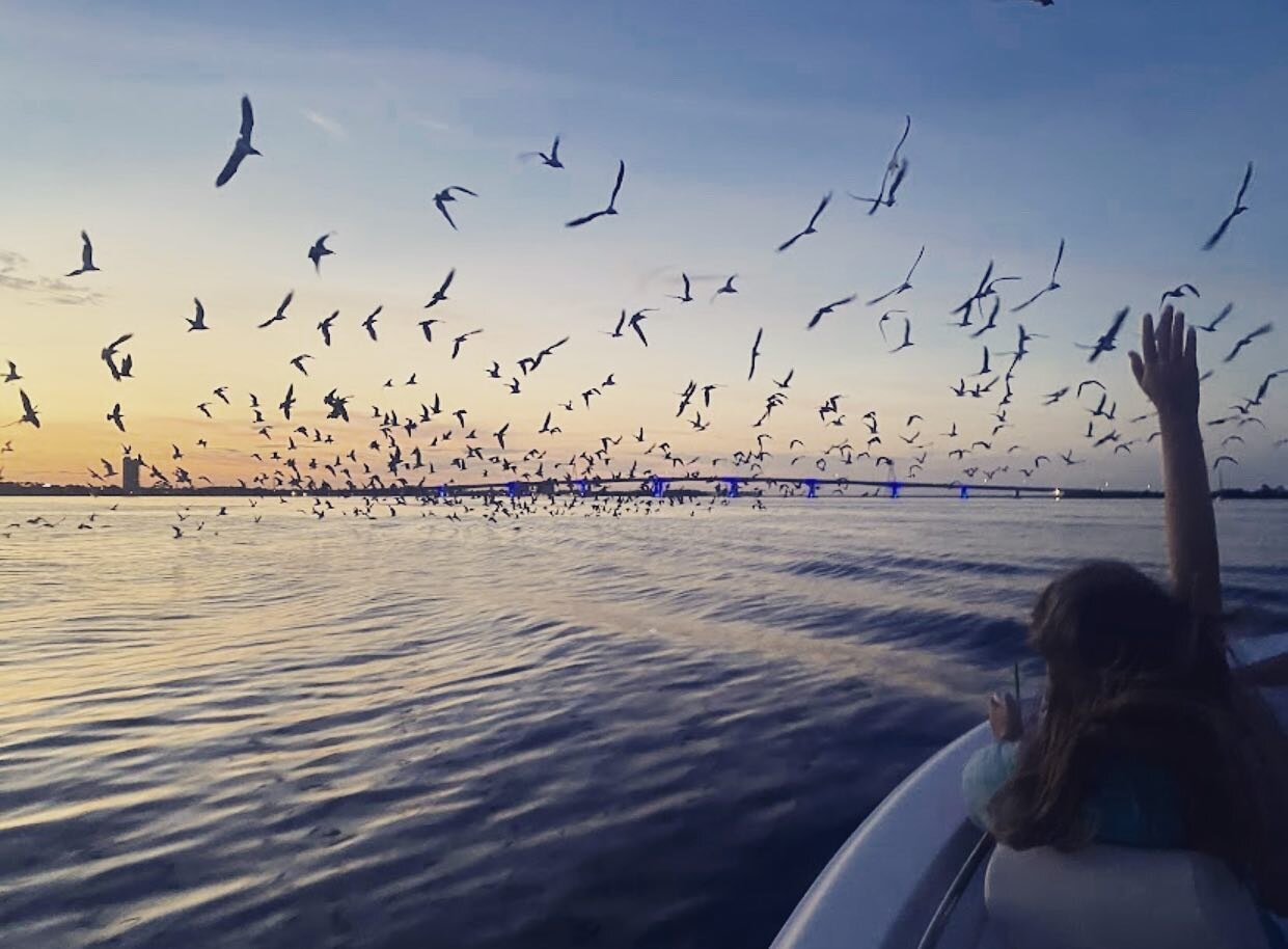 Life is better on a sunset cruise. Come and see for yourself! 🌇⛵️ #PanamaCityBeach #MemoriesOnWater