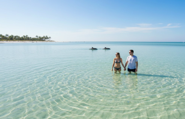 Calm shallow water area for beginner dolphin swimming