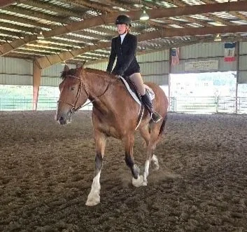 first Horse show and was an absolute peach! 6/12/25