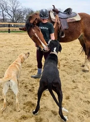 Loves dogs 