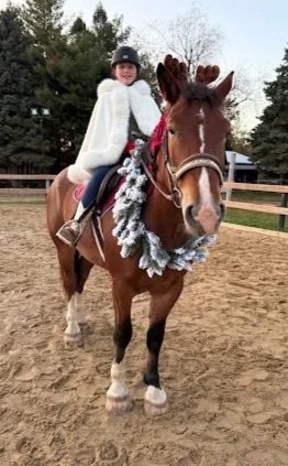 Olaf for Christmas