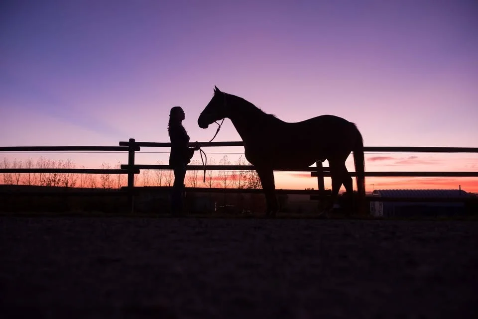 Heart Moms Equine Therapy Group