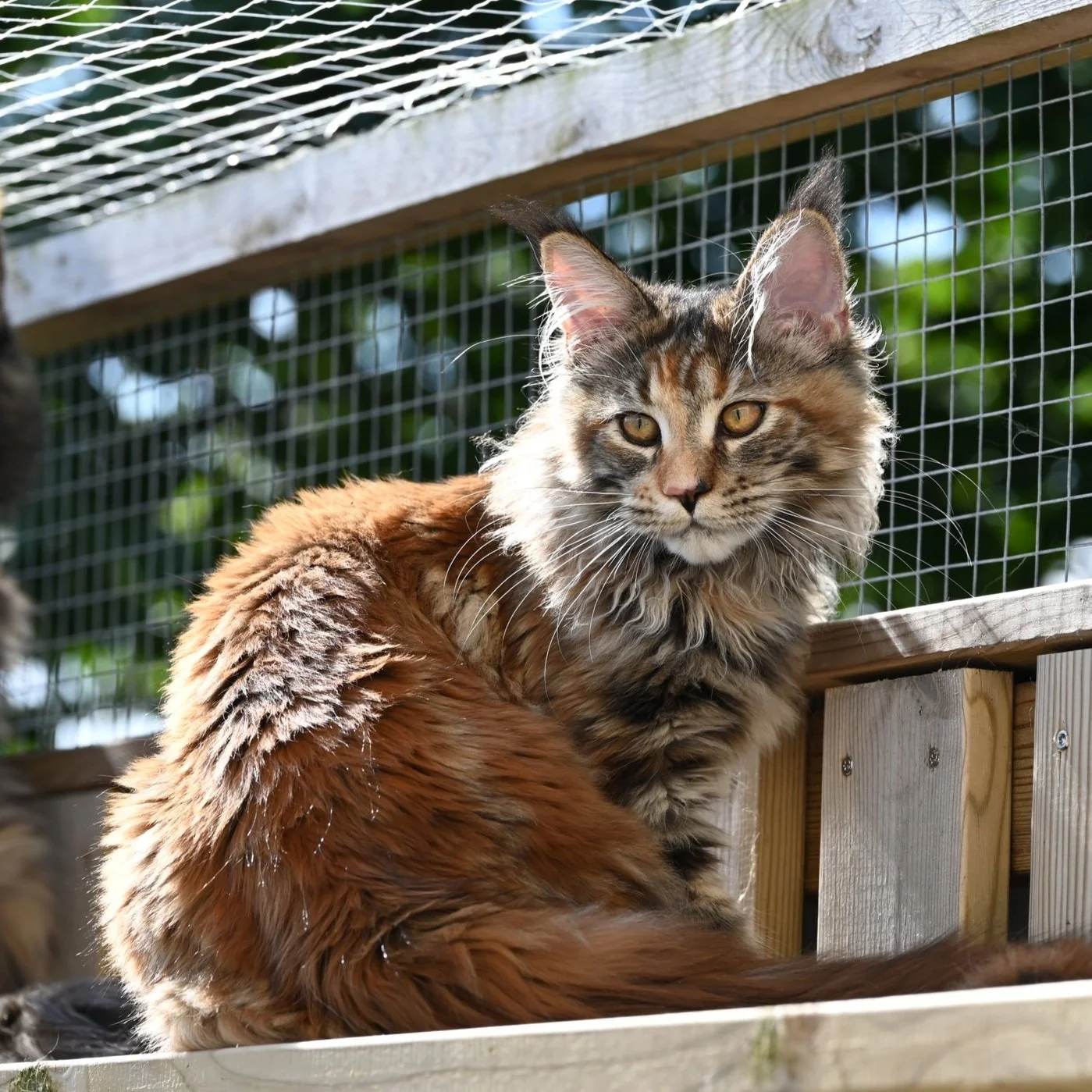 DSC_1920.jpg