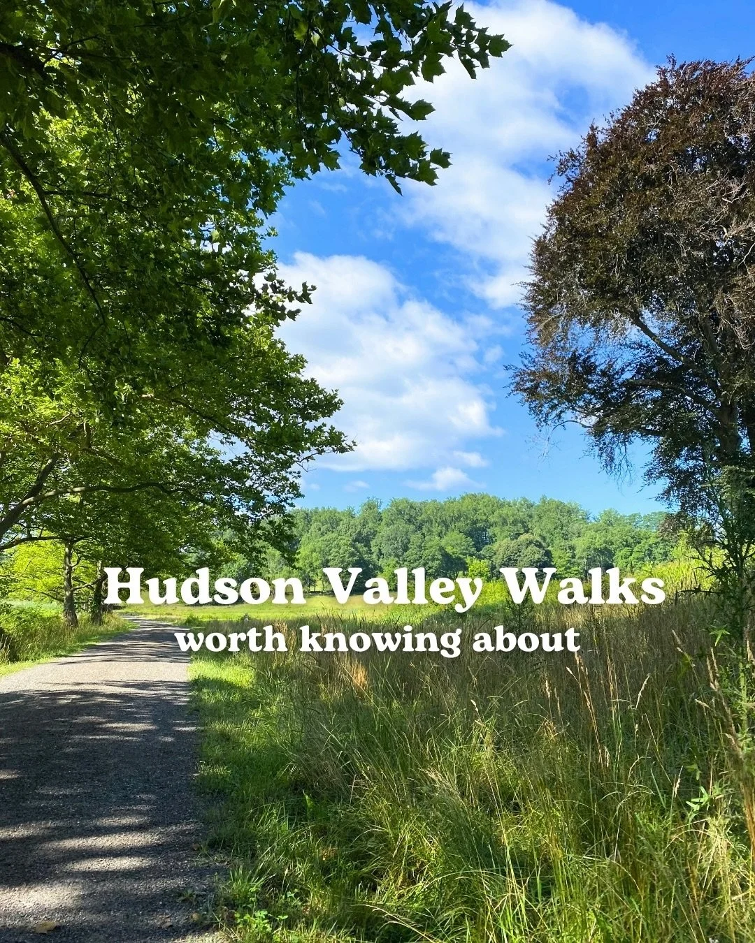 Best places to walk in the Hudson Valley

✅ Save for your next day trip

Rockefeller State Park Preserve 📍Sleepy Hollow
Untermyer Gardens📍Yonkers
Walkway Over the Hudson📍Poughkeepsie
Nyack Beach State Park📍Nyack&nbsp;
Cranberry Lake Preserve📍 Wh