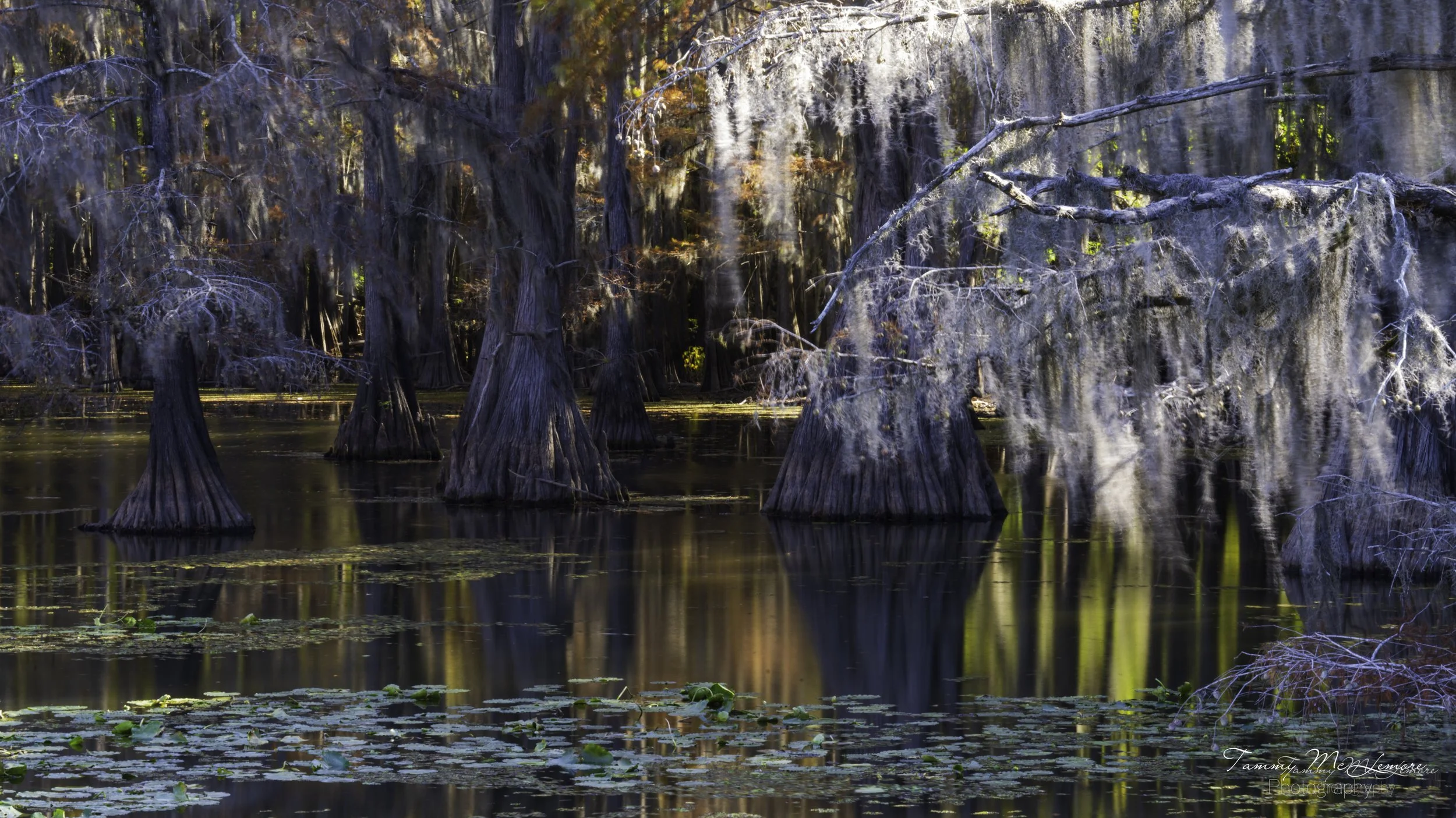 Caddo Reflections 2.jpg