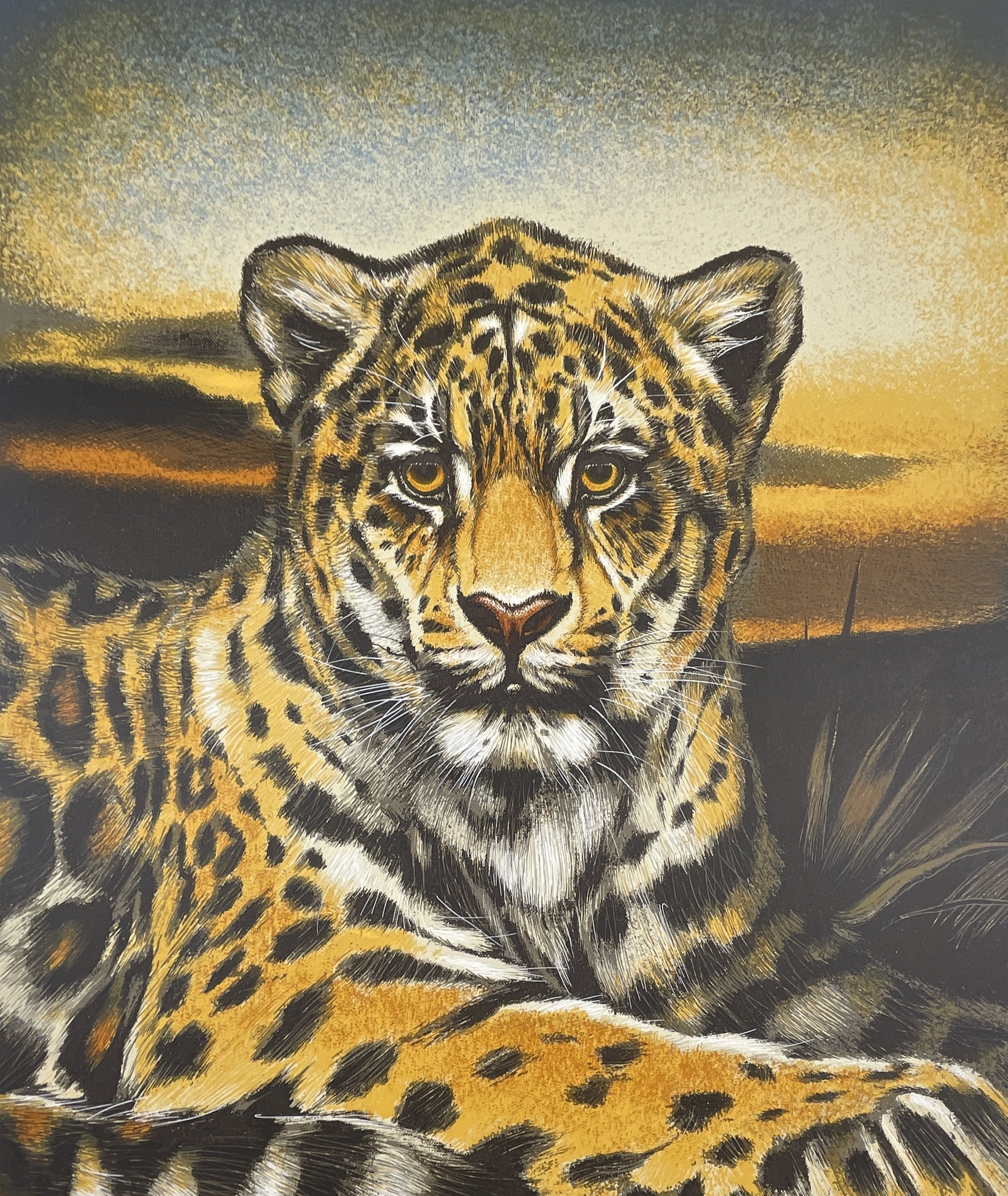 South American Jaguar, Martin G. Katon (b. 1947), c.1990s, lithograph, 24x29 in, signed & numbered 229/250, wildlife portrait