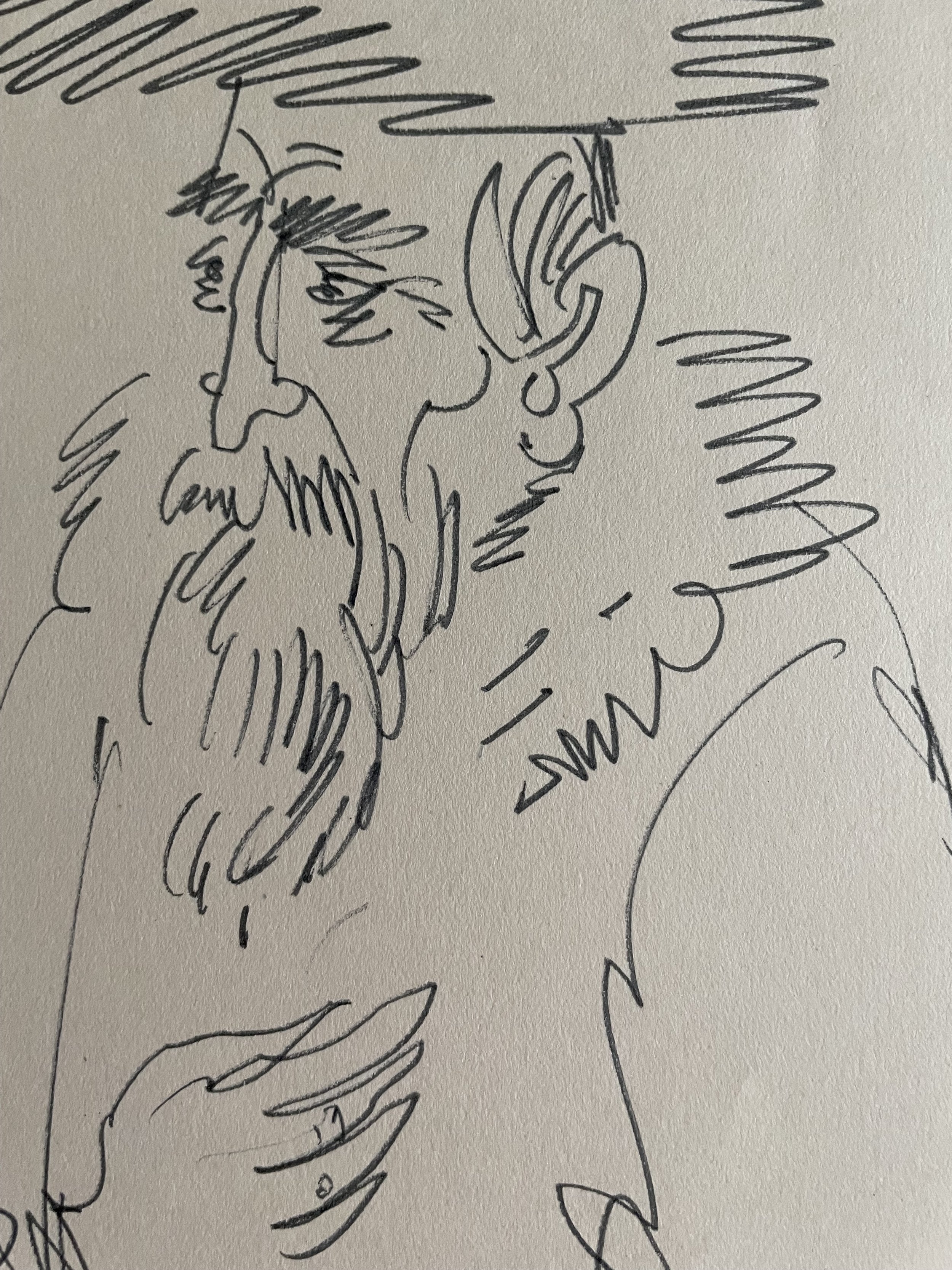 IMG_3041.jpeg