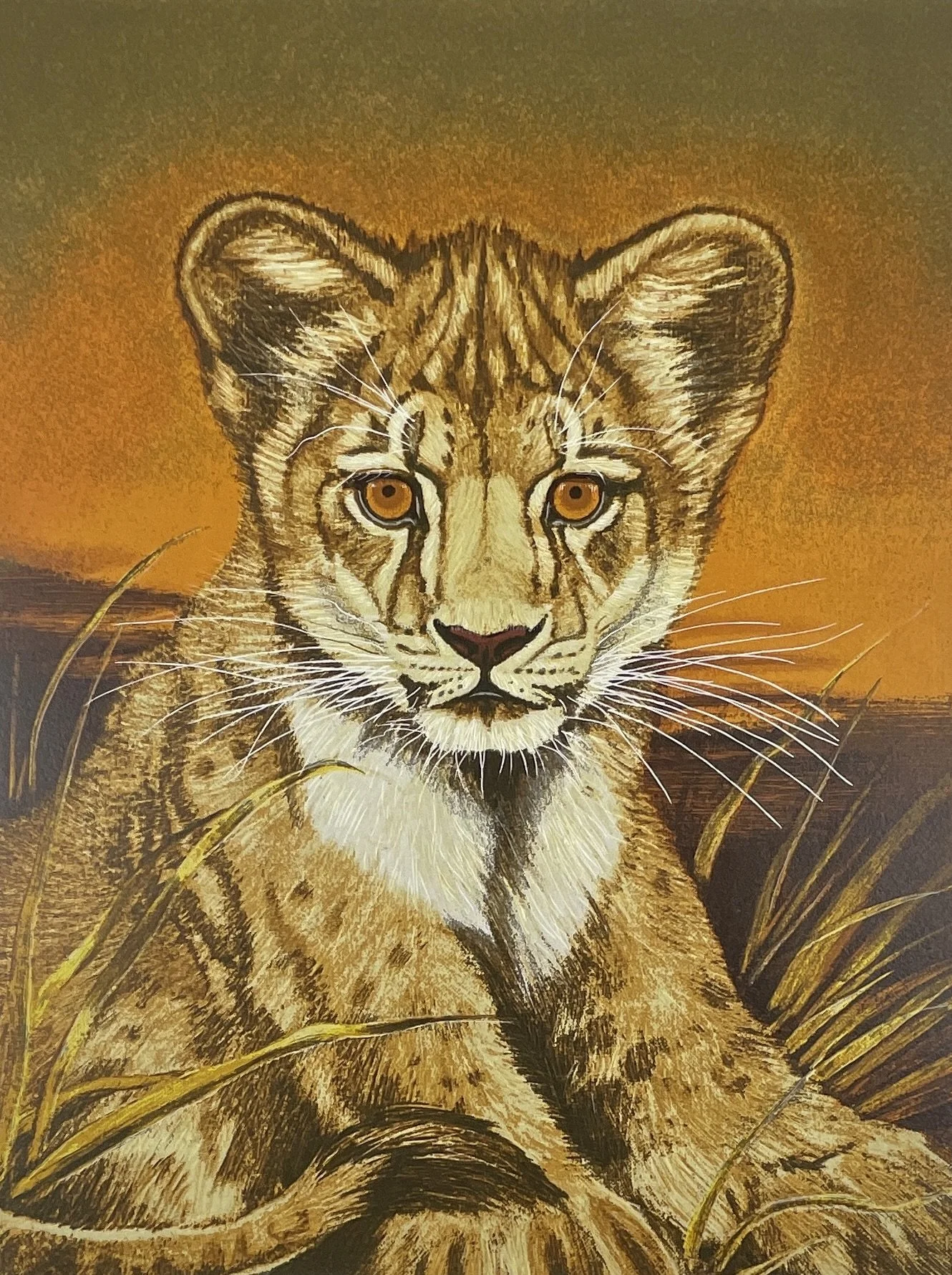 Lion Cub, Martin G. Katon, c.1970s, color lithograph, 18 x 22 inches, pencil signed and numbered 80/300 wildlife cub portrait.