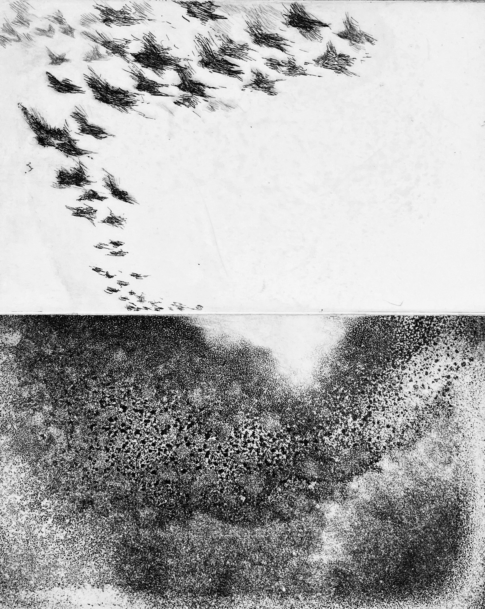 Migration (AP XI), John Wade (b. 1947), c.1970s–1980s, original intaglio etching on paper, 11 × 15 in., pencil signed and marked AP XI.