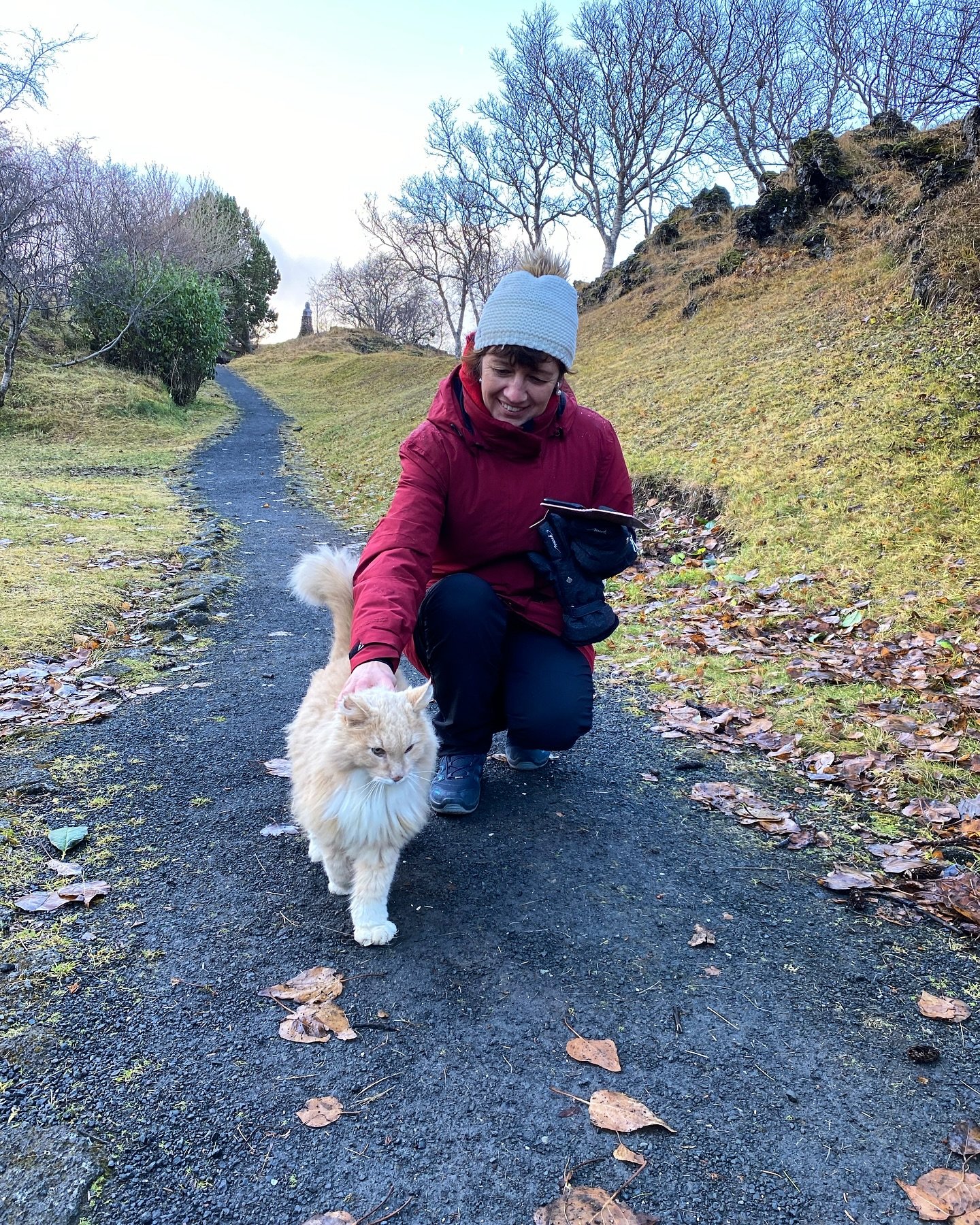 #Cat visit on the #hiddenworldwalkwithsilja today. #firstdayofwinter