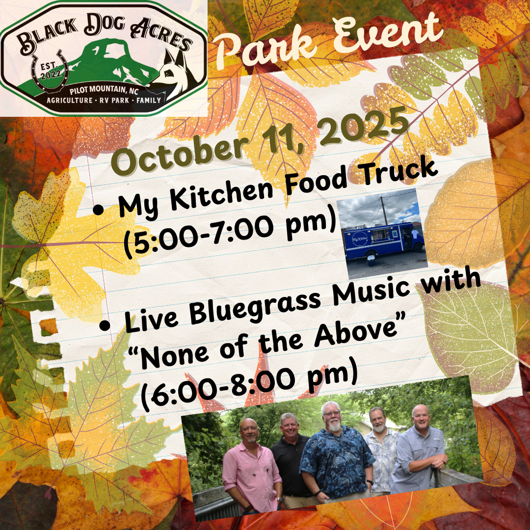 October 11, 2025 Park Event