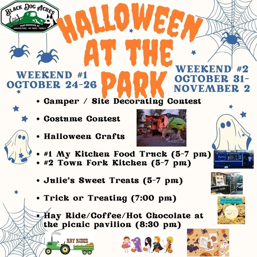 Halloween at the Park Weekend #2