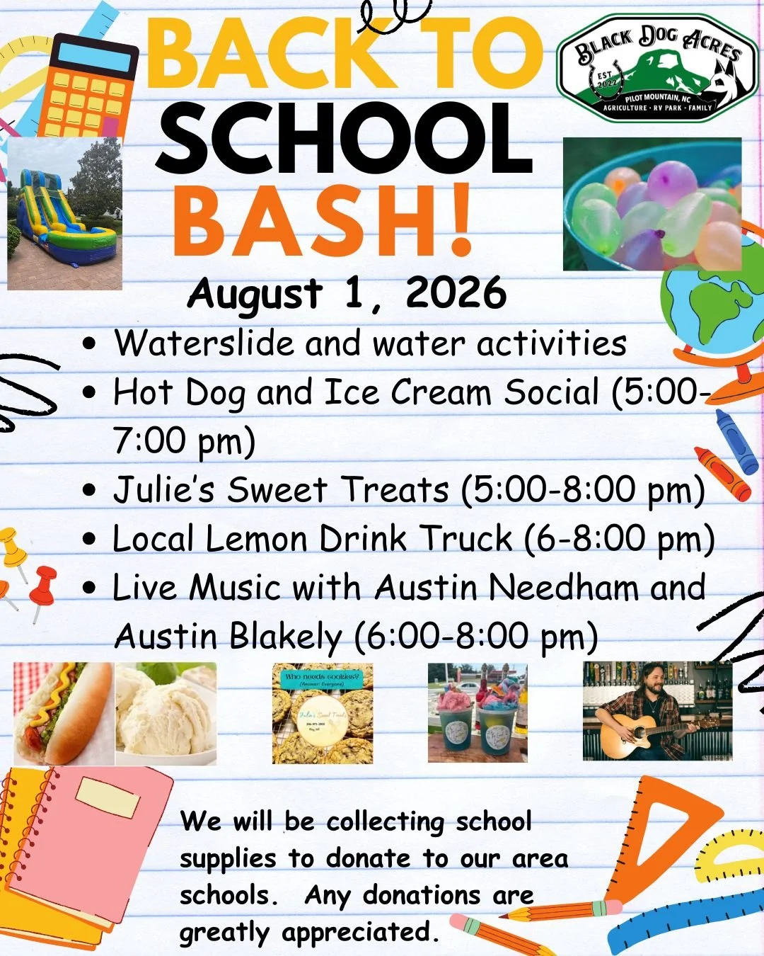 Back to School Bash