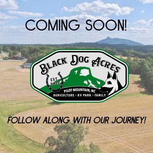 BLACK DOG ACRES SPRING 2024