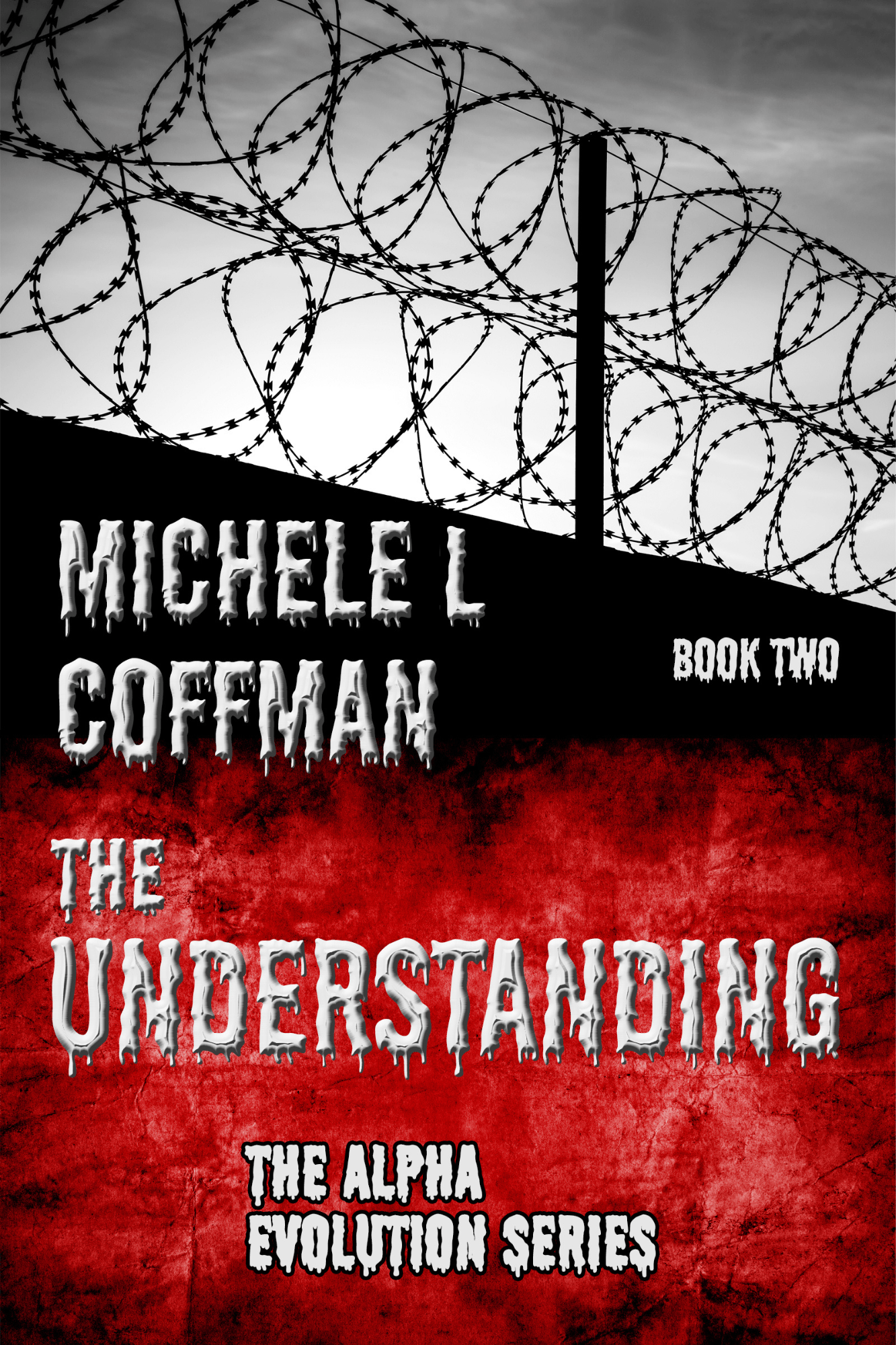 the-understanding-book-two-by-michele-l-coffman.png