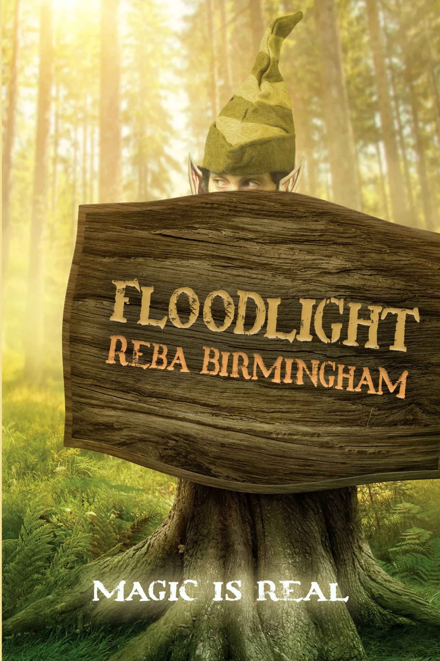 floodlight-book-one-by-reba-birmingham.jpg