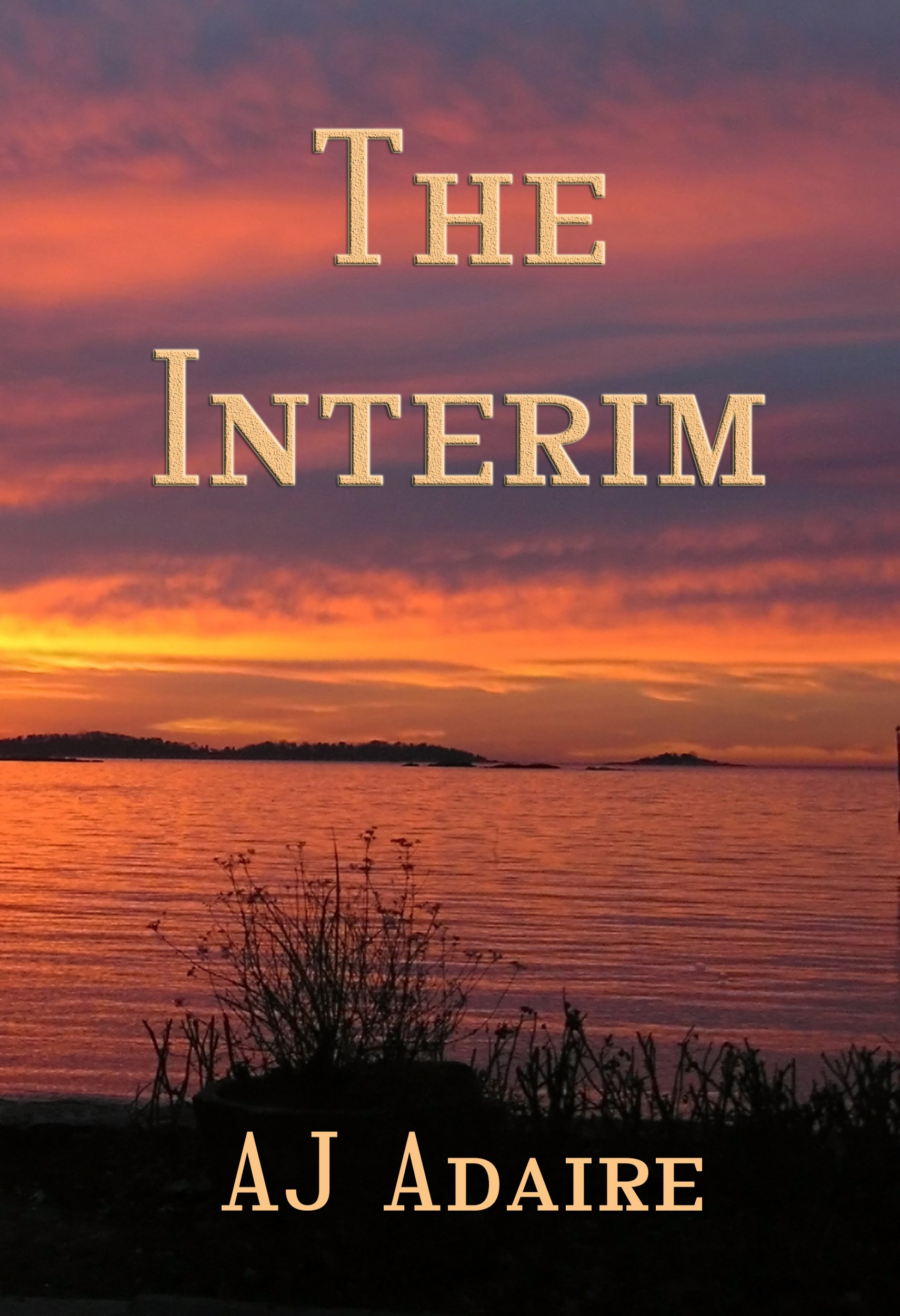 The Interim (Friends Book 1.5) By AJ Adaire