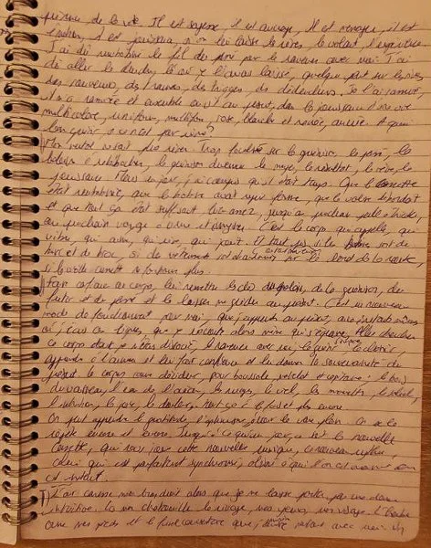 Manuscrit brouillon du livre intuitif L'Envol de Lucie Aidart