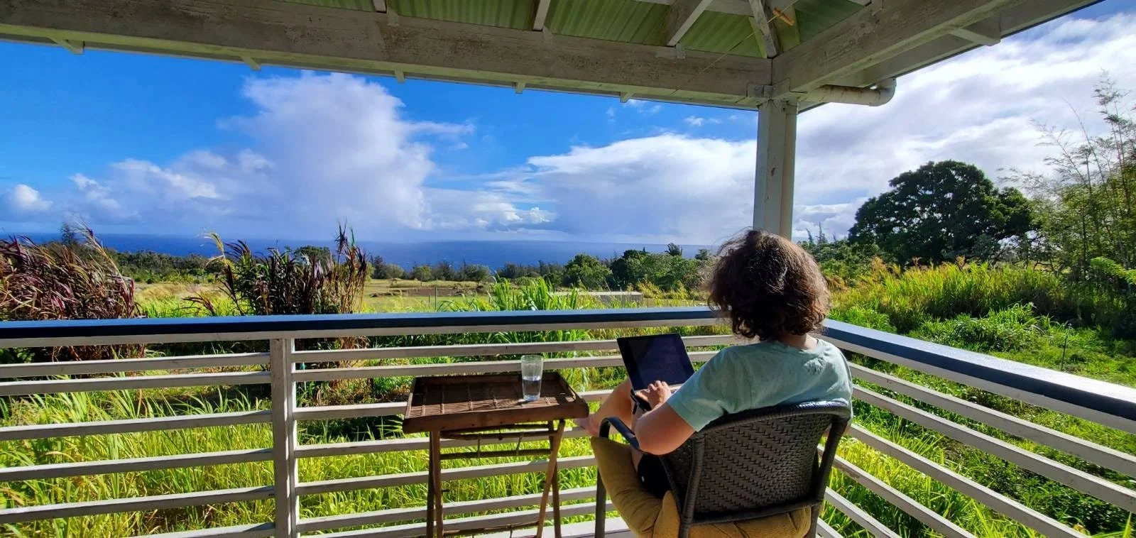 Writing a novel, becoming a novelist