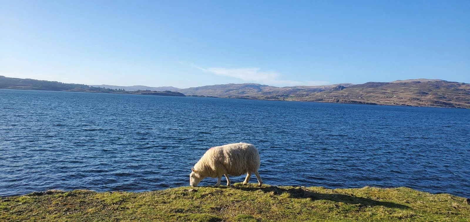 Riding life with intuition, in slow motion