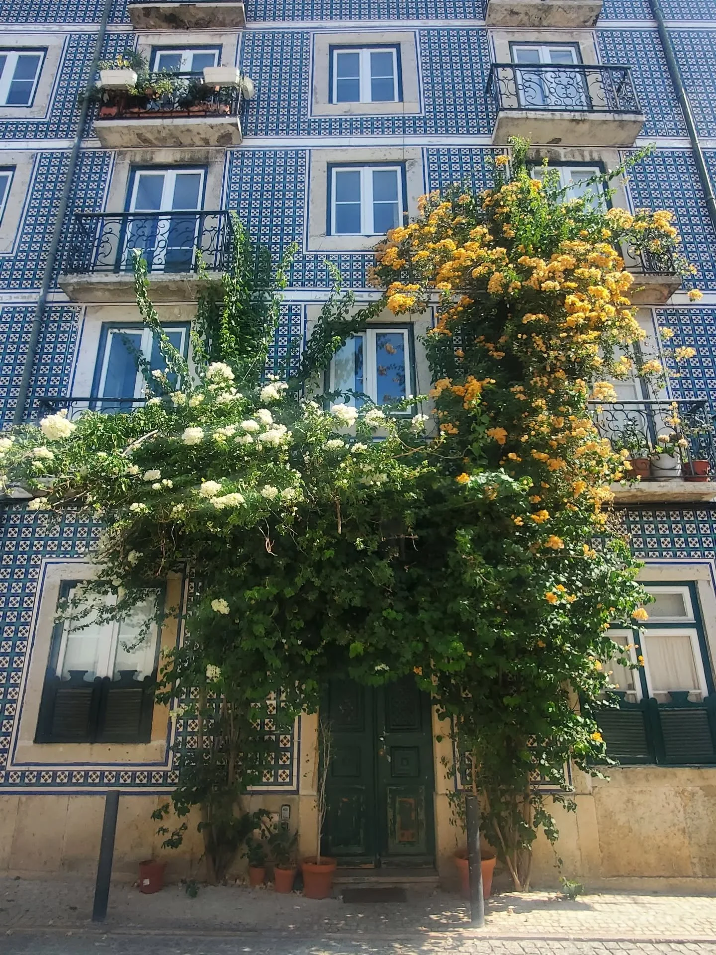 August 2025 🌺🌞 Lisbon is colourful, hilly, charming and tantalizing. Our stay is short, but we explore so many small streets and squares.

We are being called elsewhere, or we might have stayed longer. The portal is already open to elsewhere, elsew