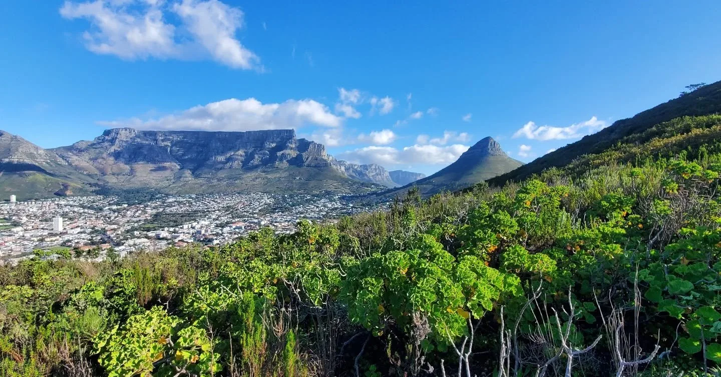 August 2025 ⛰️🏝🌍 In all my travels, I had sadly never been to Africa.

We travelled the long-distance from London to Cape Town, and landed in a haze, without jetlag in a new-to-us-world. Welcomed in kindness with splendid views, a new flat and craz