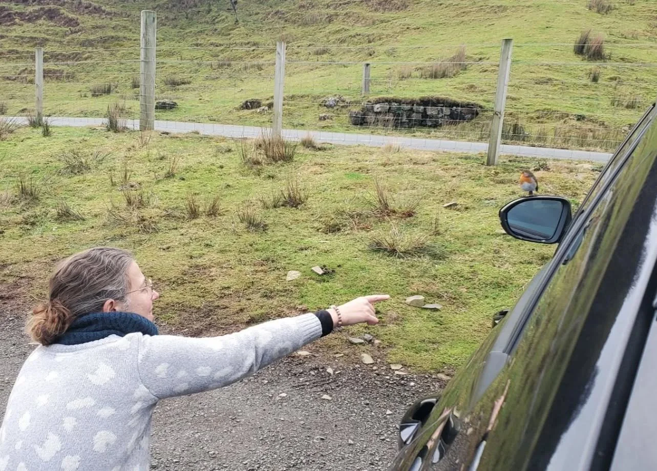 Meeting fairies out of the Glen 🦄🪶🌳🍃✨️