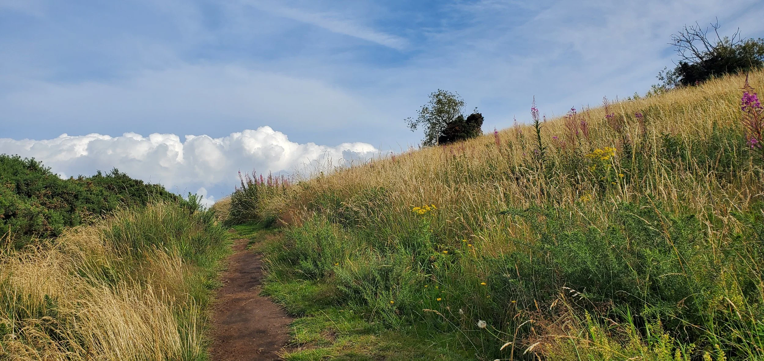 Walking the path of healing, into the clouds and sky, into the storm and light