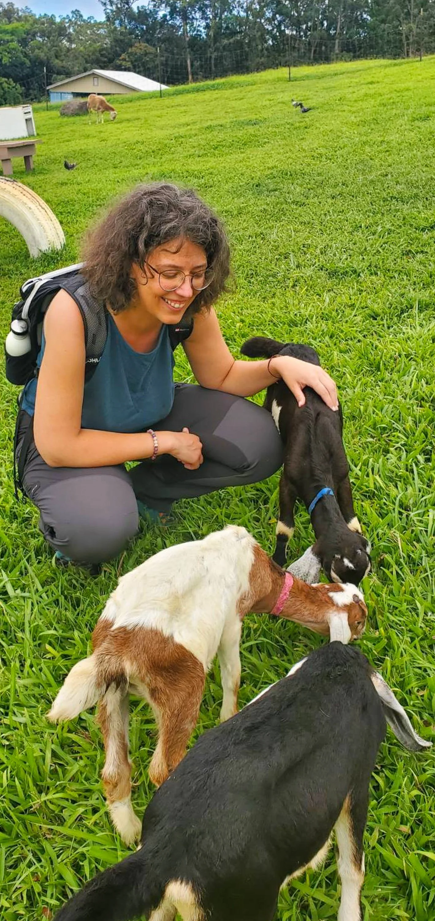 Lucie Aidart et des bébés chèvres à Hawaii