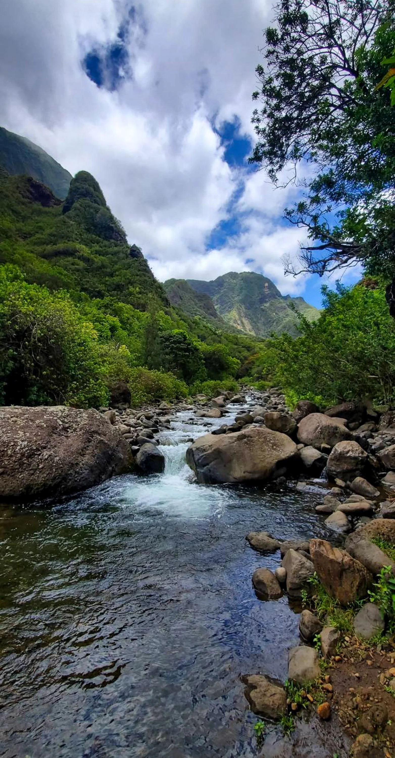 Waterfall and jungle in the land of Maui, Hawaii