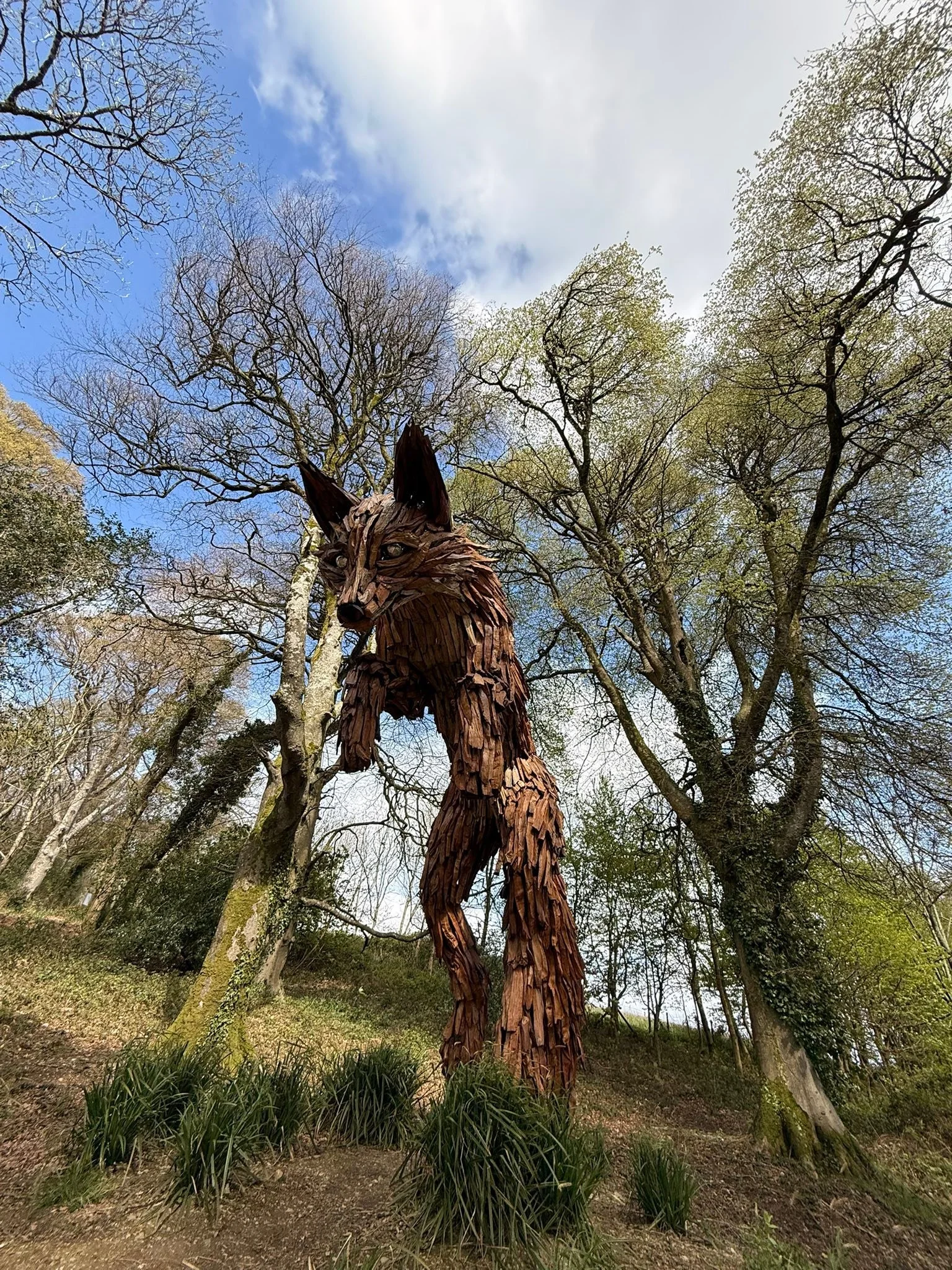 Lost Gardens of Heligan - stunning. Camilla, tulips, primroses and wild garlic just some of the many highlights of this exceptional garden restoration project. To top it off it also is home to Europe&rsquo;s last remaining pineapple pit.