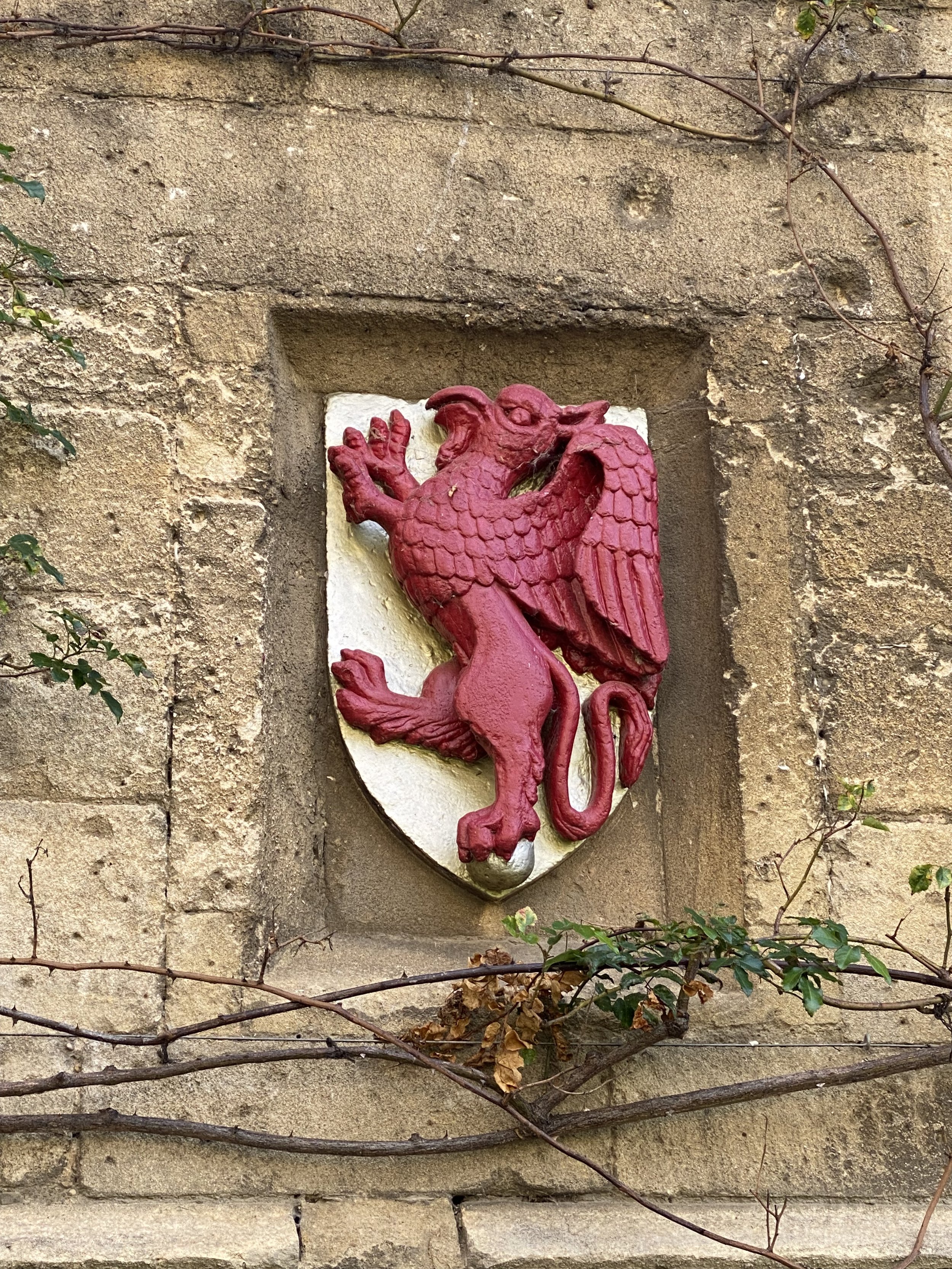 IMG_9441.jpeg