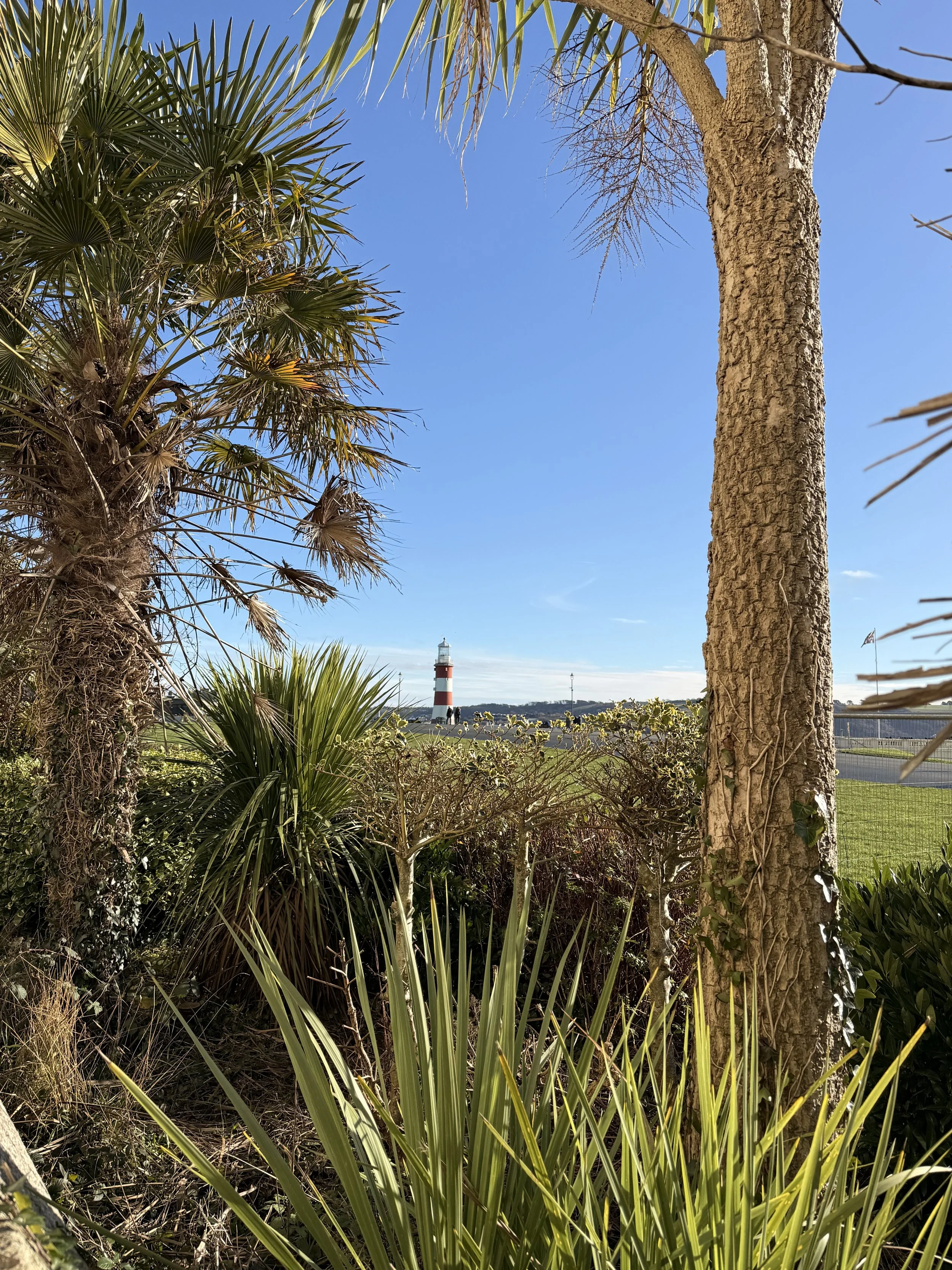 IMG_7553.jpeg